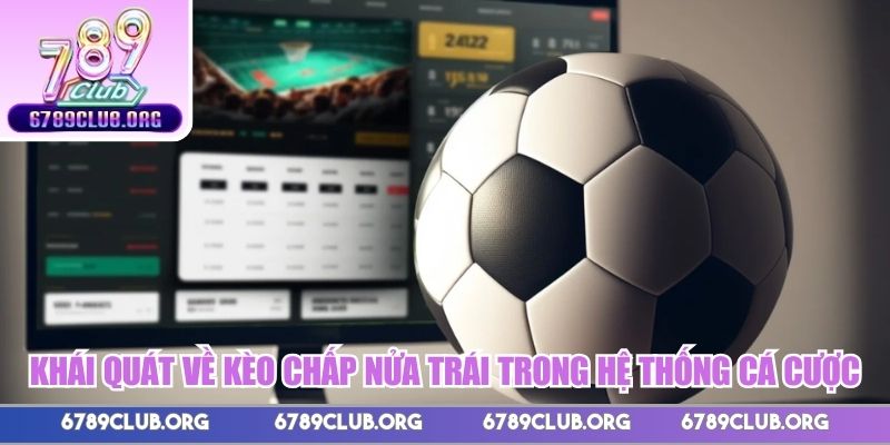 Khái quát về kèo chấp nửa trái trong hệ thống cá cược
