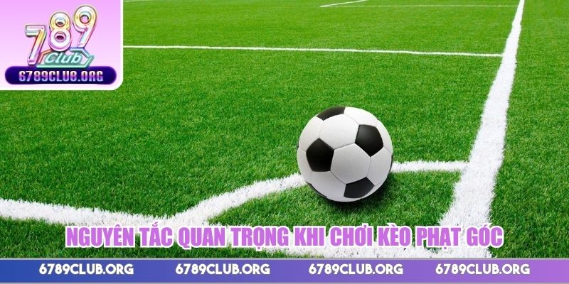 Nguyên tắc quan trọng khi chơi kèo phạt góc 