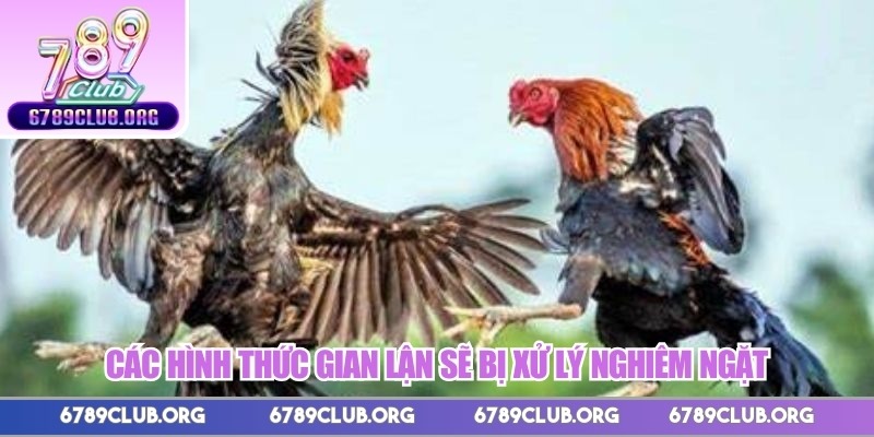 Các hình thức gian lận sẽ bị xử lý nghiêm ngặt