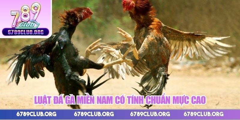 Luật đá gà miền Nam có tính chuẩn mực cao