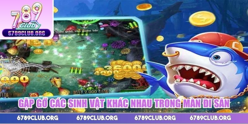 Gặp gỡ các sinh vật khác nhau trong màn đi săn