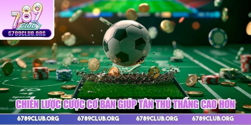 Chiến lược cược cơ bản giúp tân thủ thắng cao hơn